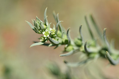 BUITEN BEELD Foto: 295693