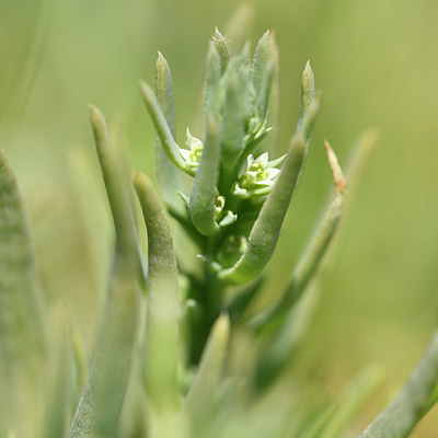 BUITEN BEELD Foto: 295695