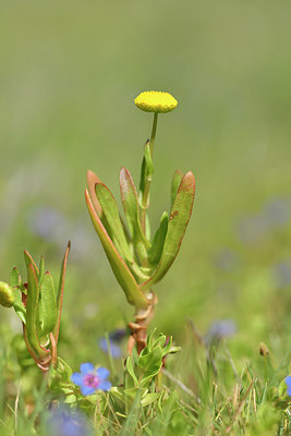 BUITEN BEELD Foto: 295724