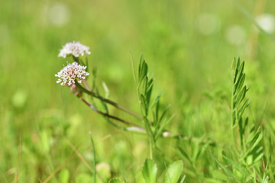 BUITEN BEELD Foto: 295726