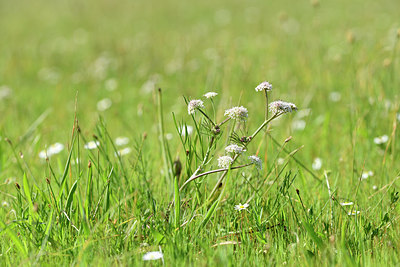 BUITEN BEELD Foto: 295732