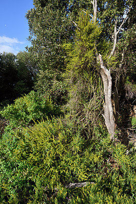 BUITEN BEELD Foto: 295773