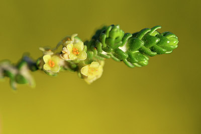 BUITEN BEELD Foto: 295781