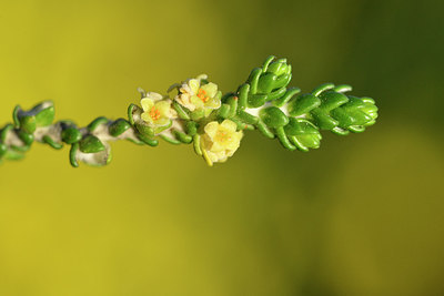BUITEN BEELD Foto: 295782