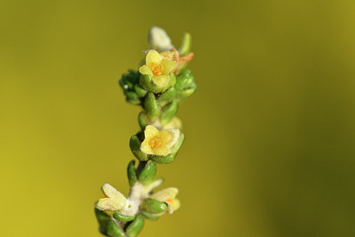 BUITEN BEELD Foto: 295783