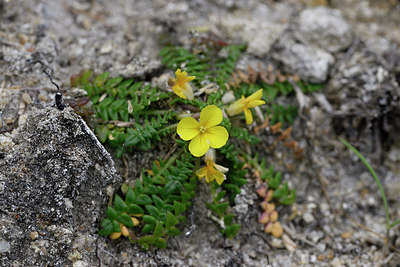 BUITEN BEELD Foto: 295788