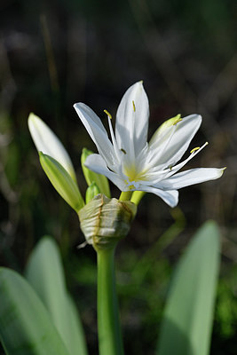 BUITEN BEELD Foto: 295793