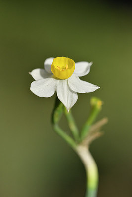 BUITEN BEELD Foto: 295794