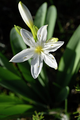 BUITEN BEELD Foto: 295803