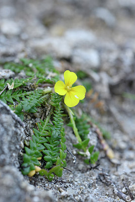 BUITEN BEELD Foto: 295805