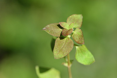 BUITEN BEELD Foto: 295834