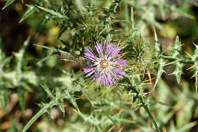 BUITEN BEELD Foto: 295840