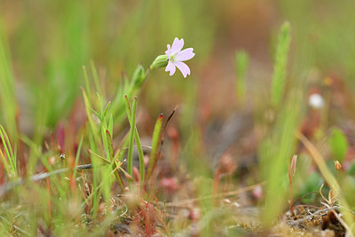 BUITEN BEELD Foto: 295855