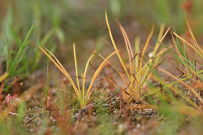 BUITEN BEELD Foto: 295858