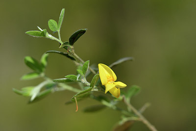 BUITEN BEELD Foto: 295883