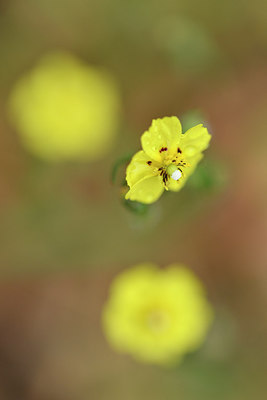 BUITEN BEELD Foto: 295889