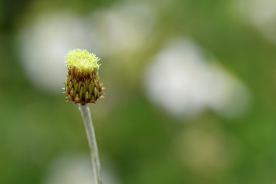 BUITEN BEELD Foto: 295899