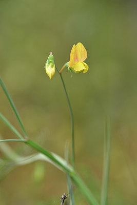 BUITEN BEELD Foto: 295931