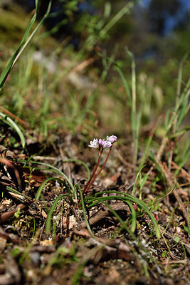 BUITEN BEELD Foto: 295962