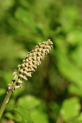 BUITEN BEELD Foto: 295999