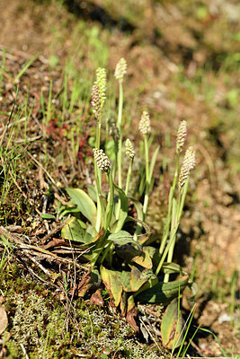 BUITEN BEELD Foto: 296003