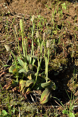 BUITEN BEELD Foto: 296004