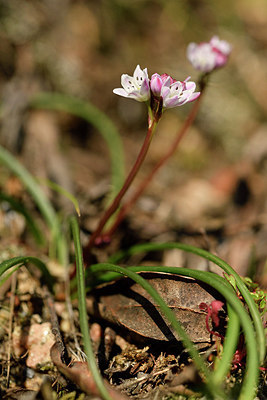BUITEN BEELD Foto: 296005