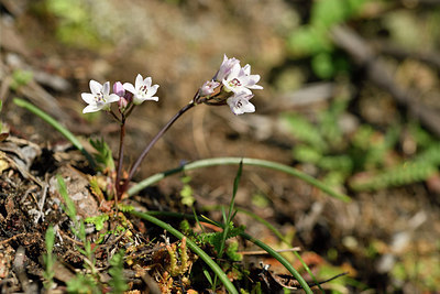 BUITEN BEELD Foto: 296010