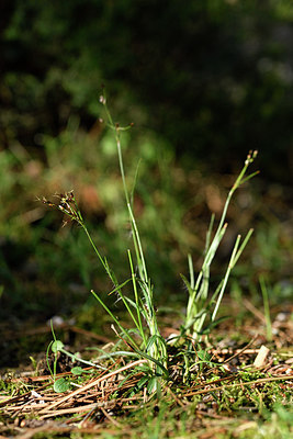 BUITEN BEELD Foto: 296022