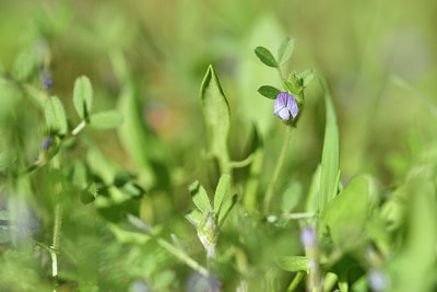 BUITEN BEELD Foto: 296023