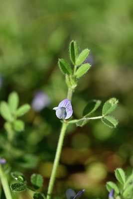 BUITEN BEELD Foto: 296024