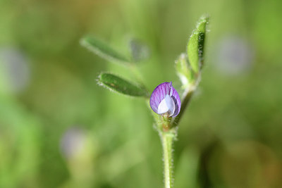 BUITEN BEELD Foto: 296027