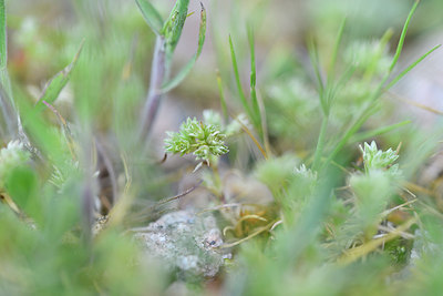 BUITEN BEELD Foto: 296033