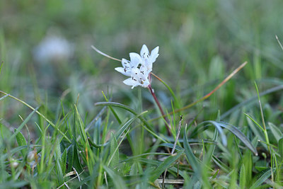 BUITEN BEELD Foto: 296038