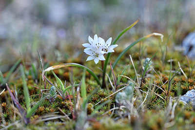 BUITEN BEELD Foto: 296039