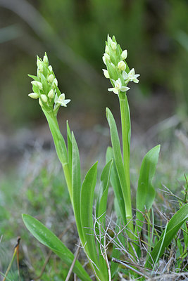 BUITEN BEELD Foto: 296041