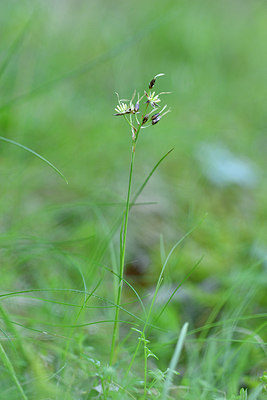 BUITEN BEELD Foto: 296046