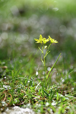BUITEN BEELD Foto: 296057