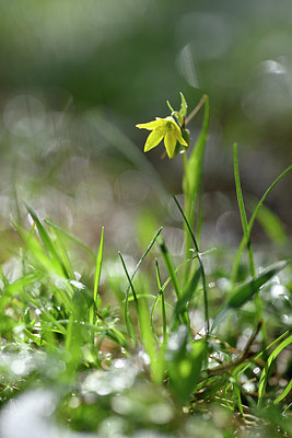 BUITEN BEELD Foto: 296058