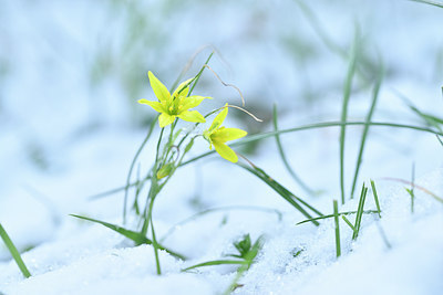 BUITEN BEELD Foto: 296060