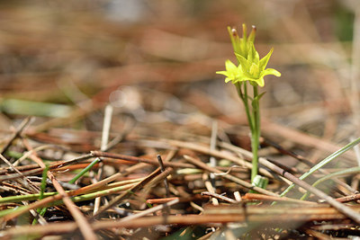 BUITEN BEELD Foto: 296068
