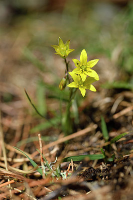 BUITEN BEELD Foto: 296069