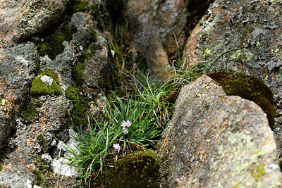 BUITEN BEELD Foto: 296073