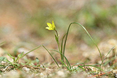 BUITEN BEELD Foto: 296074
