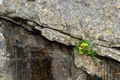 BUITEN BEELD Foto: 296079