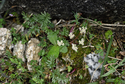 BUITEN BEELD Foto: 296082