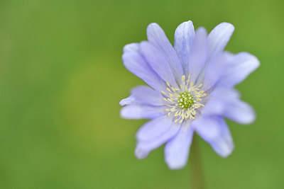 BUITEN BEELD Foto: 296099
