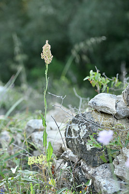BUITEN BEELD Foto: 296115