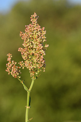 BUITEN BEELD Foto: 296119