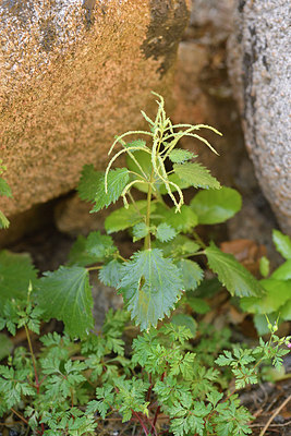 BUITEN BEELD Foto: 296135